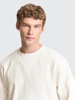 Tom Tailor heren sweater